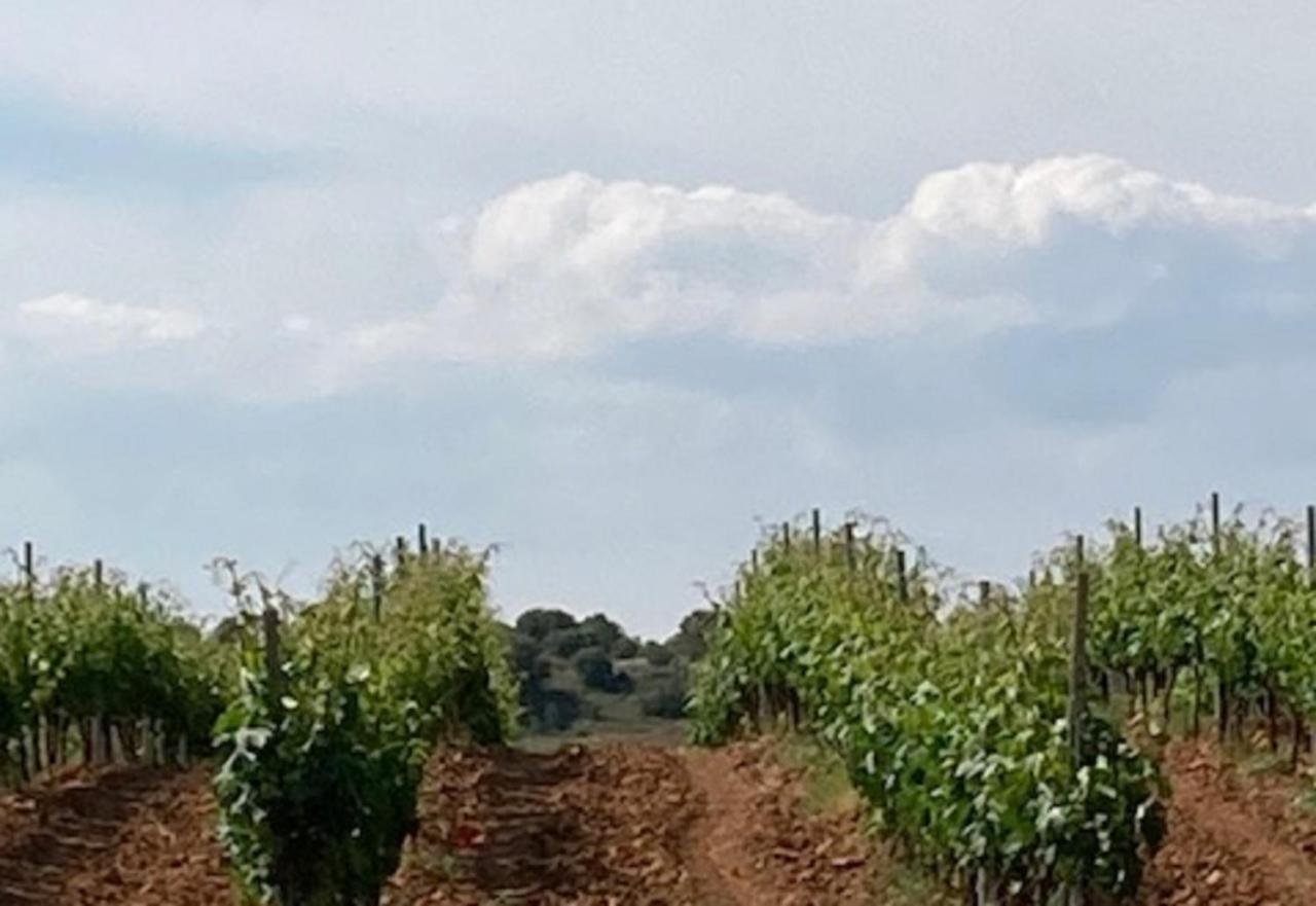 Apartamento Turistico Cerca Aranda De Duero La Ren Lecres Vadocondes Eksteriør bilde
