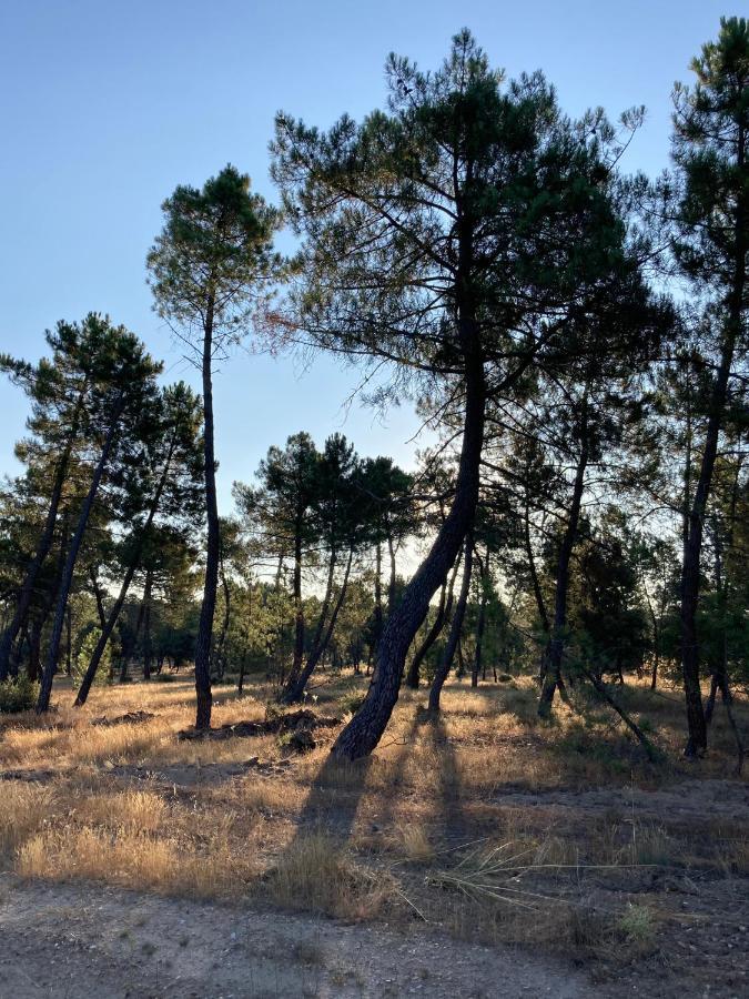 Apartamento Turistico Cerca Aranda De Duero La Ren Lecres Vadocondes Eksteriør bilde